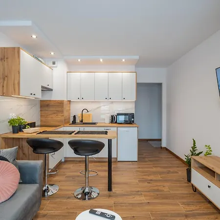 Vip Apartamenty Niecia Z Klimatyzacja Rzeszów Esterno foto