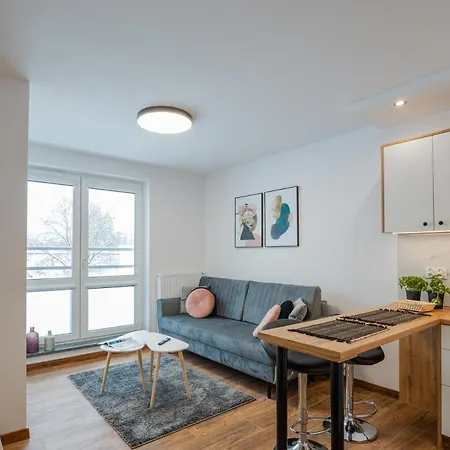 Vip Apartamenty Niecia Z Klimatyzacja Rzeszów Esterno foto