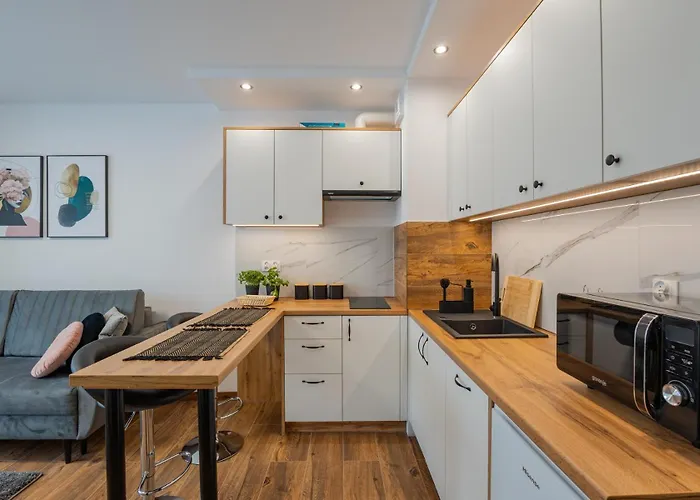 Vip Apartamenty Niecia Z Klimatyzacja
