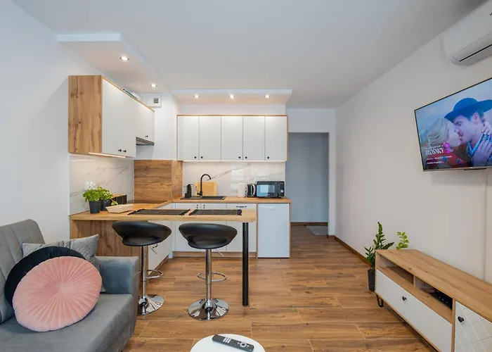 Vip Apartamenty Niecia Z Klimatyzacja